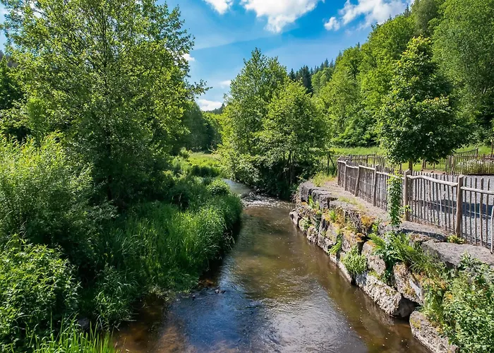 Holiday home Luxury La Croix Scaille Bourseigne-Neuve